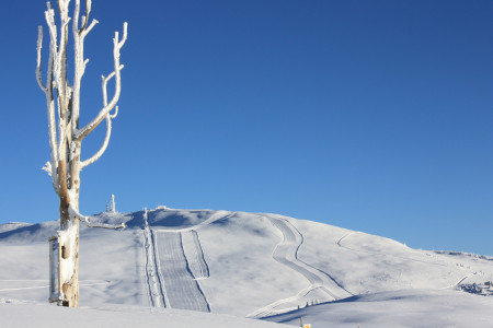 Winterurlaub in Südtirol