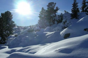 Inverno