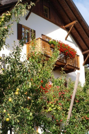 Impressioni fattoria