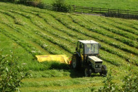 Farm picture