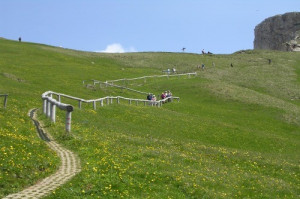 Escursioni