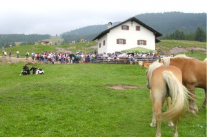 Ritten und Umgebung