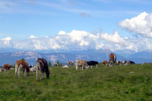 Ritten und Umgebung