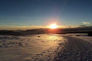 Winter