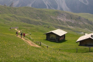 Wandern
